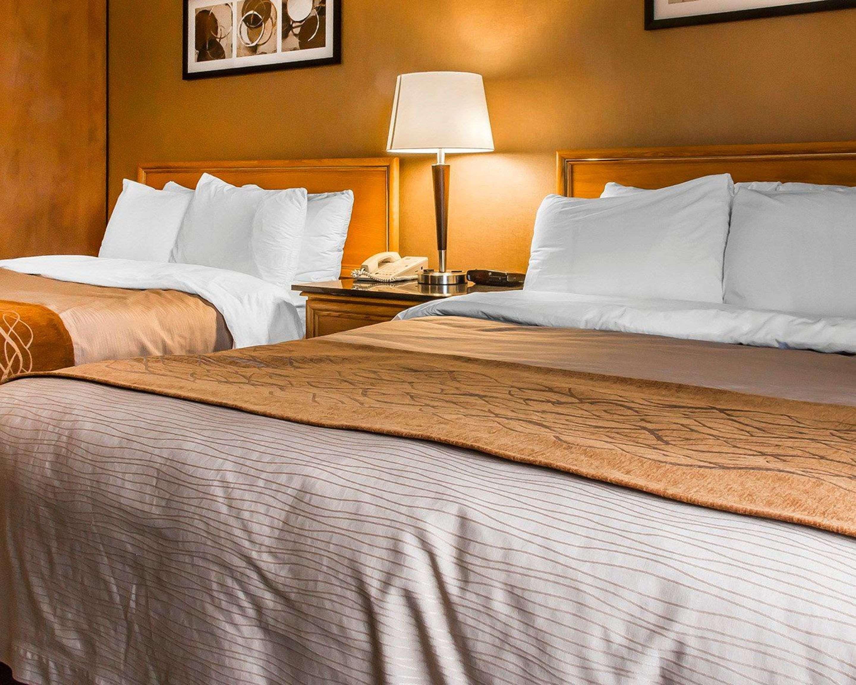 קנורה Comfort Inn מראה חיצוני תמונה